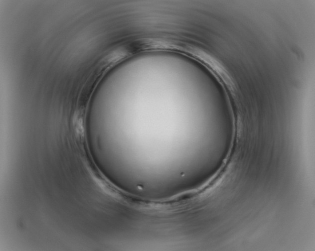 X0000113531241200910091216