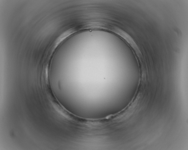 X0000113531242200910091216