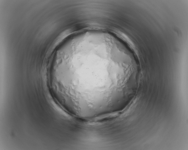 X0000113531243200910091216