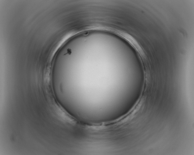 X0000113531244200910091216