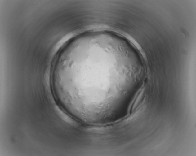 X0000113531245200910091216