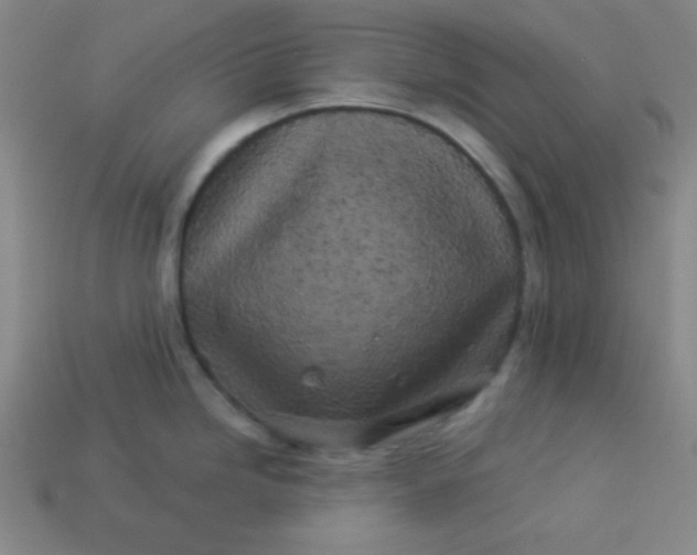 X0000113531246200910091216