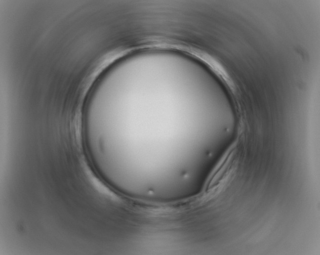 X0000113531247200910091216