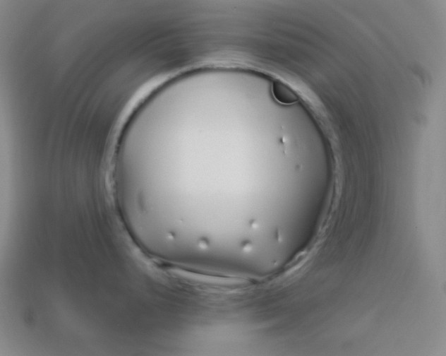 X0000113531248200910091216