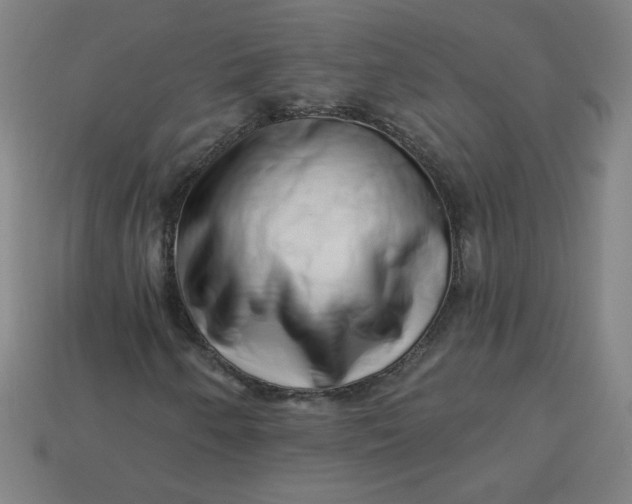 X0000113531250200910091216