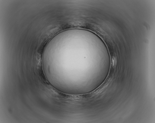 X0000113531251200910091216