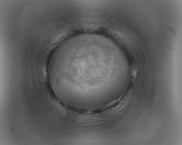 X0000113531252200910091216