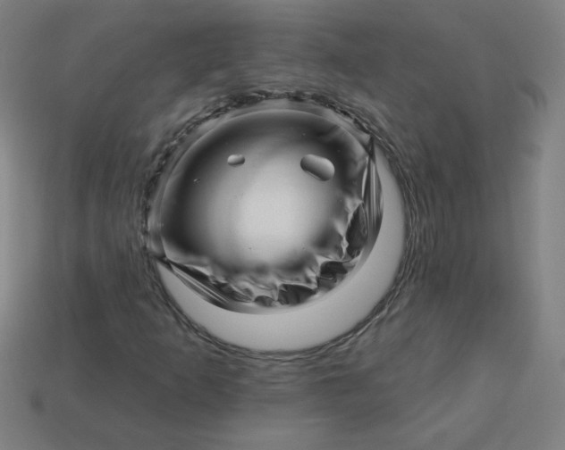 X0000113531253200910091216