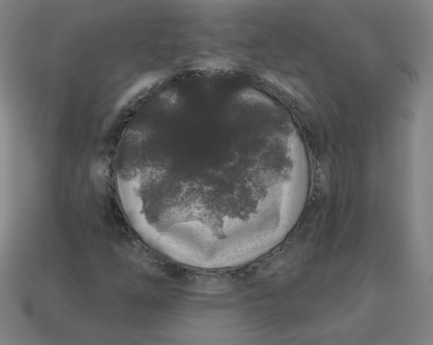 X0000113531254200910091216