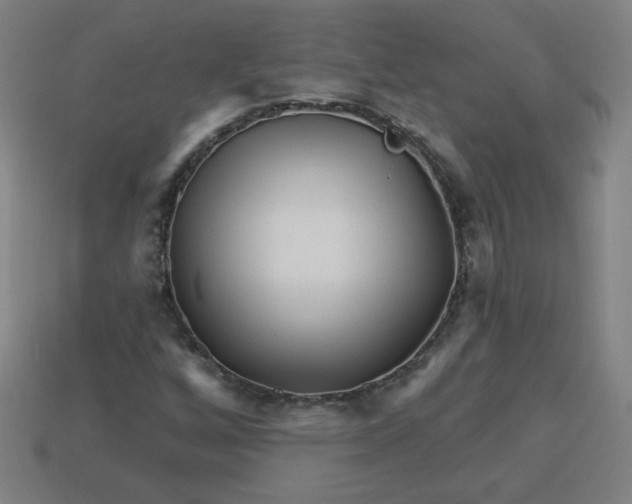 X0000113531256200910091216