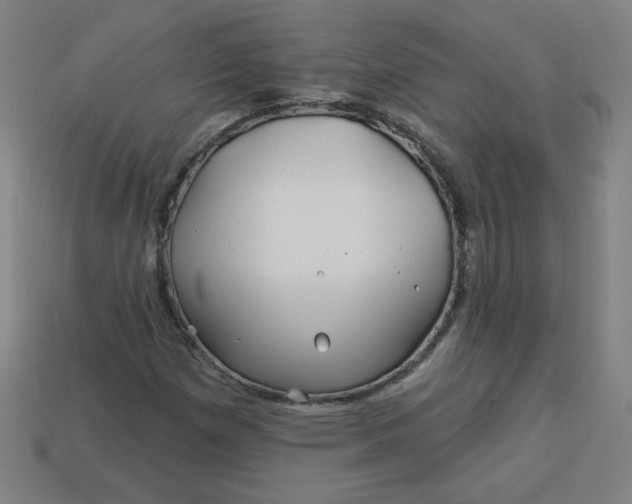 X0000113531257200910091216