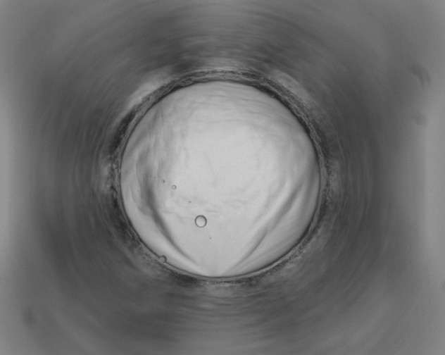 X0000113531258200910091216