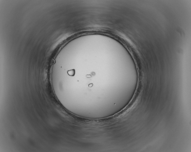 X0000113531259200910091216