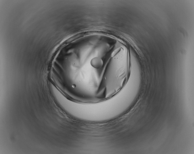 X0000113531260200910091216