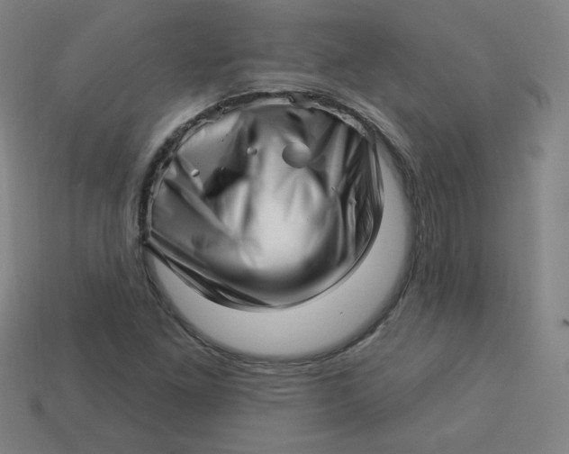 X0000113531261200910091216