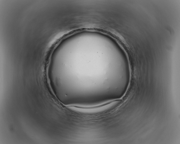 X0000113531263200910091216