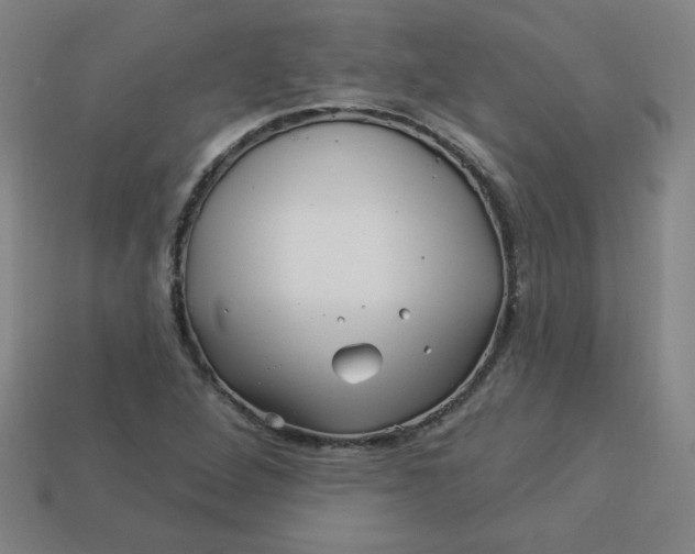 X0000113531264200910091215