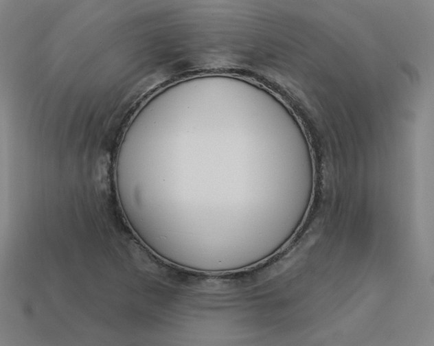 X0000113531265200910091215