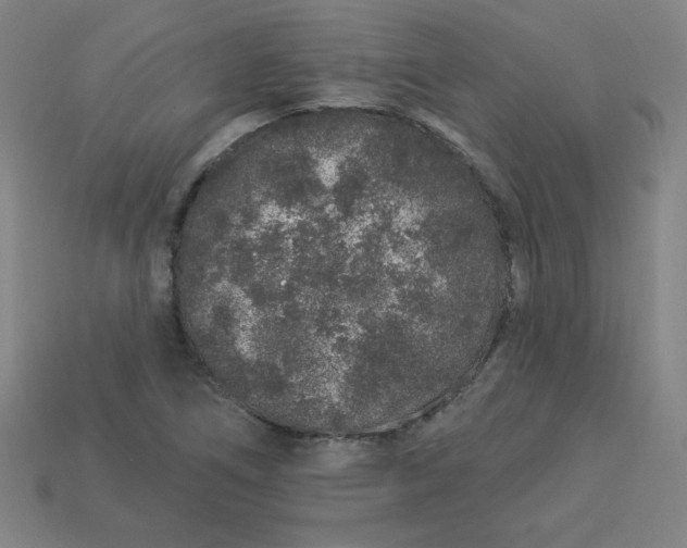 X0000113531266200910091215