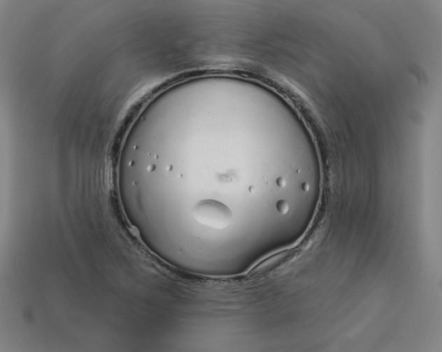 X0000113531267200910091215