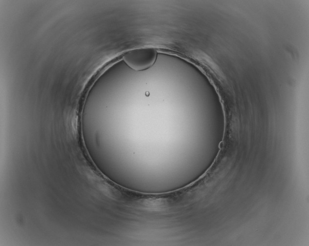 X0000113531268200910091215