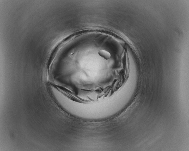 X0000113531269200910091215