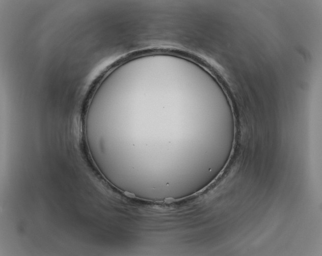 X0000113531271200910091215