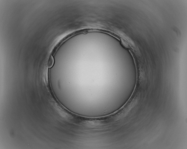 X0000113531272200910091215