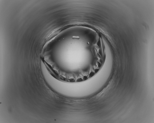 X0000113531273200910091215