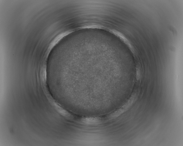 X0000113531274200910091215