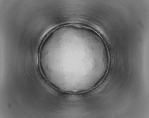 X0000113531275200910091215