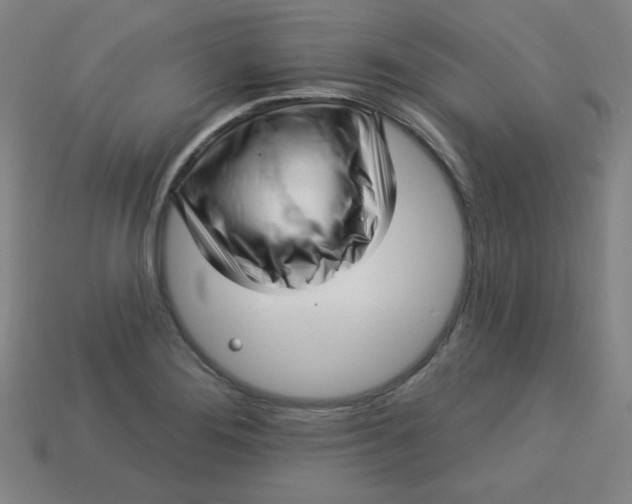 X0000113531276200910091215