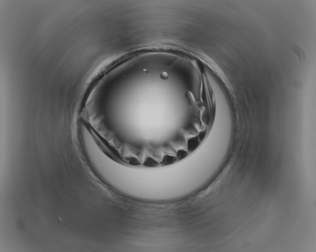 X0000113531277200910091215