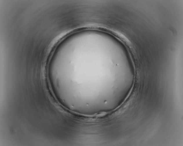 X0000113531279200910091215