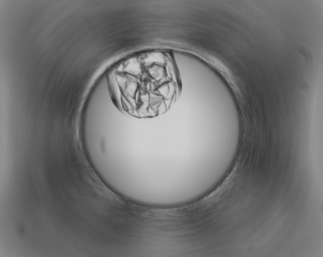 X0000113531280200910091215