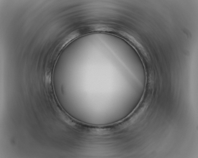 X0000113531281200910091215