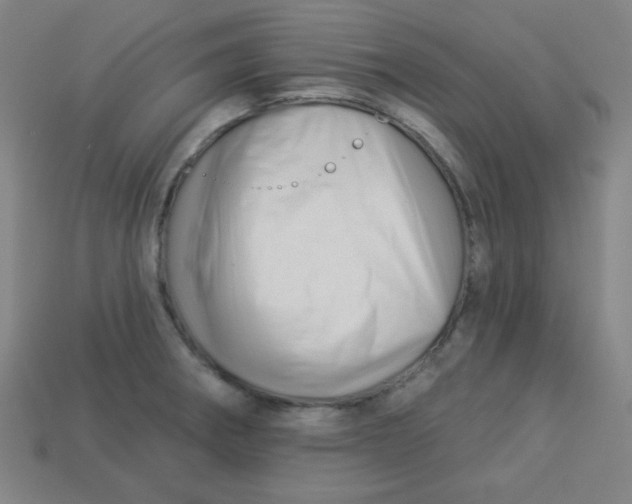 X0000113531282200910091215