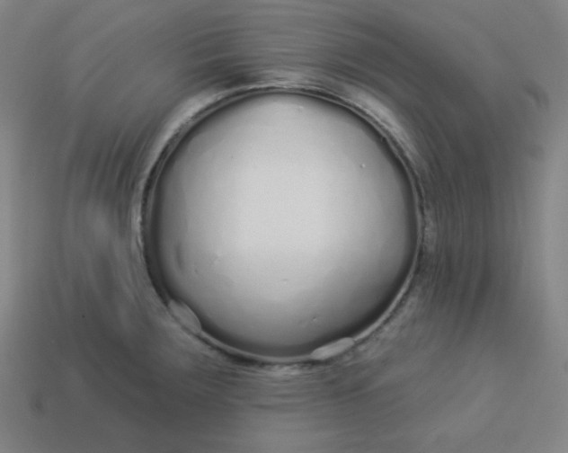 X0000113531283200910091215