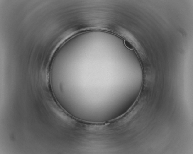 X0000113531284200910091215