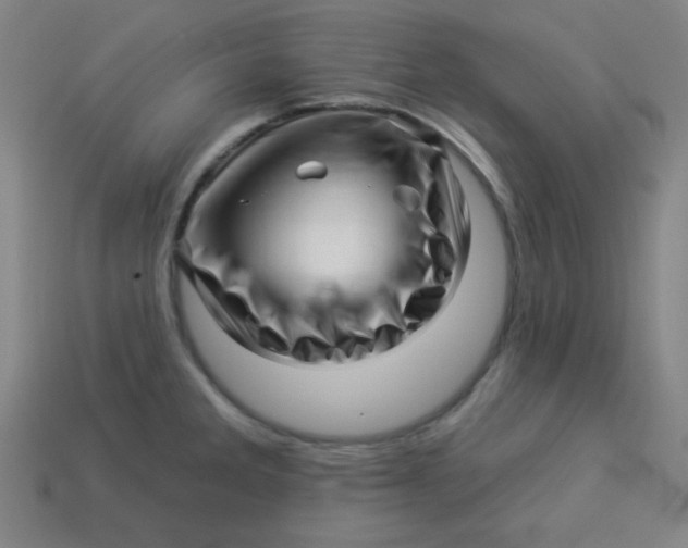 X0000113531285200910091215