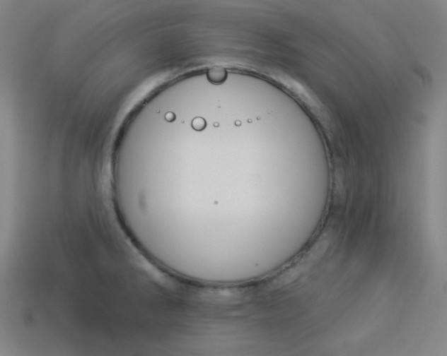 X0000113531286200910091215