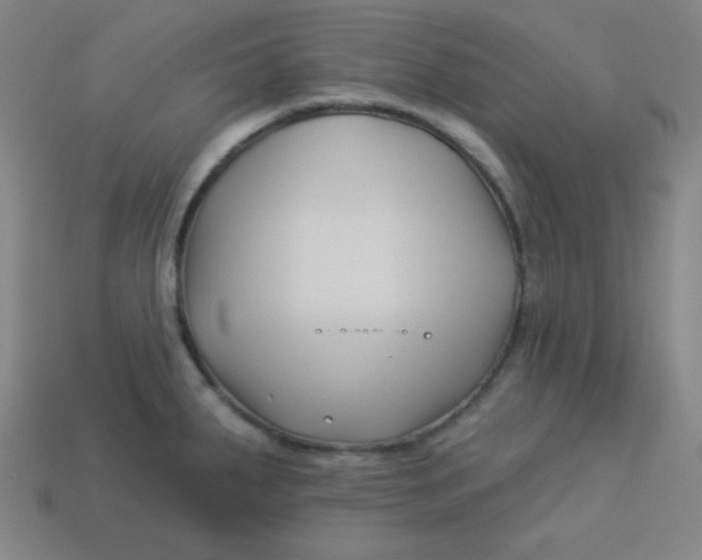 X0000113531287200910091215