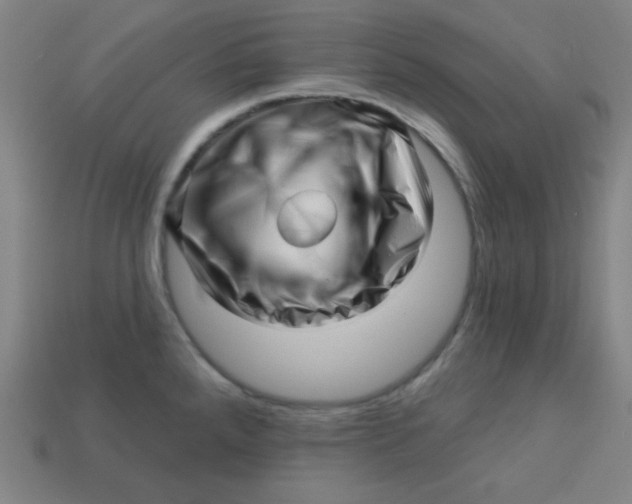 X0000113531288200910091215