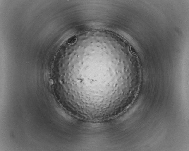 X0000113531289200910091215