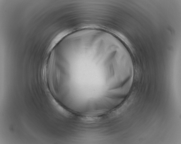 X0000113531290200910091215