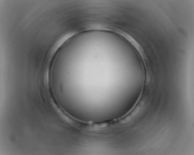 X0000113531293200910091215