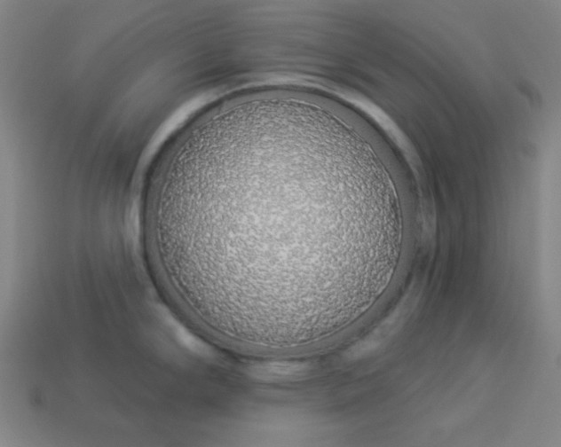 X0000113531294200910091215