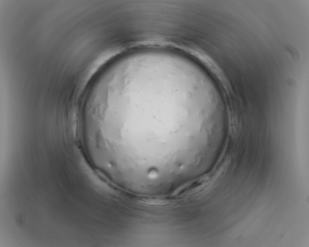 X0000113531295200910091215