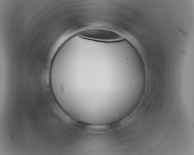 X0000113531296200910091215