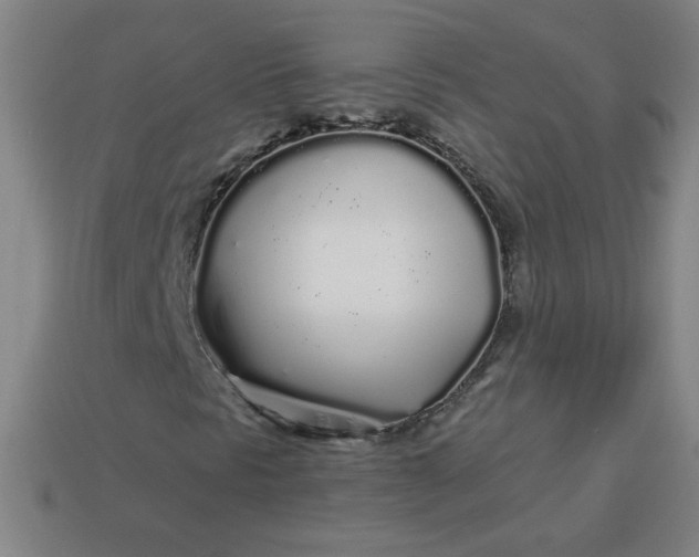 X0000113531297200910091214